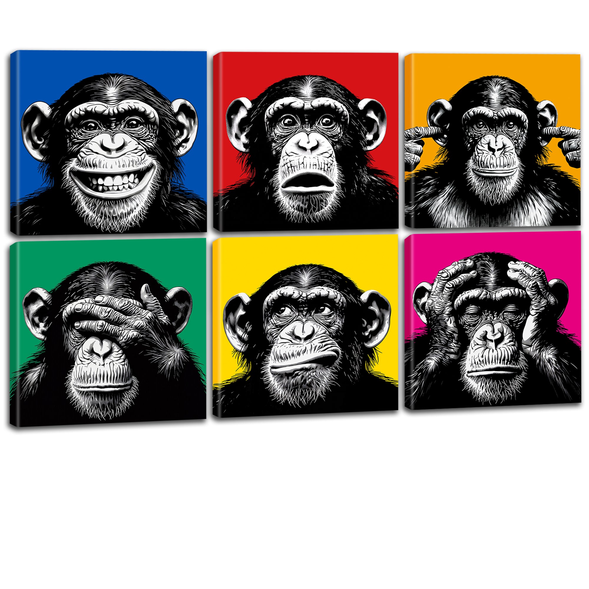 The Monkey Set (6er)