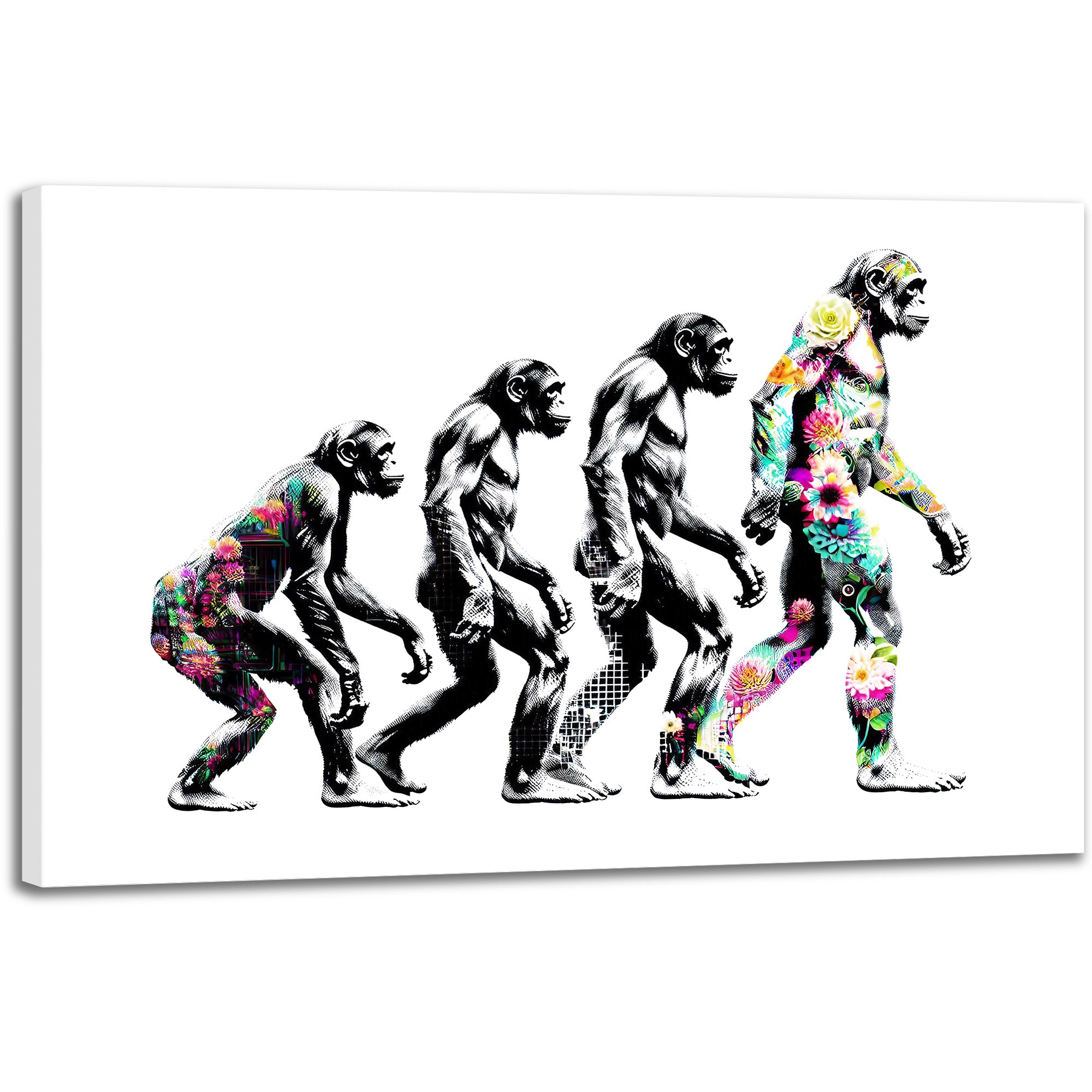 Evolution